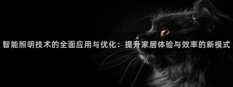 智能照明技术的全面应用与优化：提升家居体验与效率的新模式
