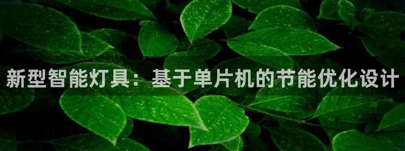 新型智能灯具：基于单片机的节能优化设计