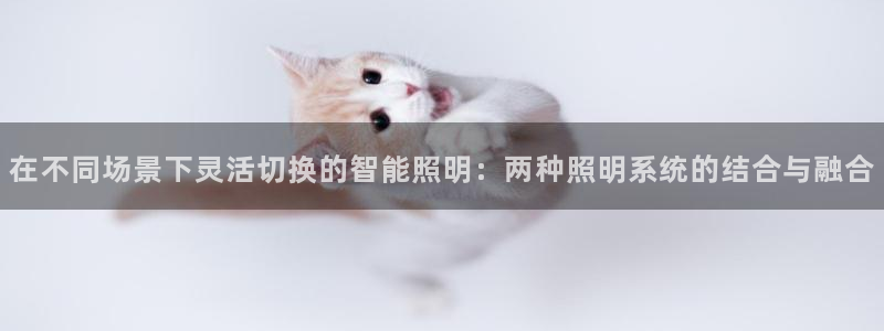 在不同场景下灵活切换的智能照明：两种照明系统的结合与融合