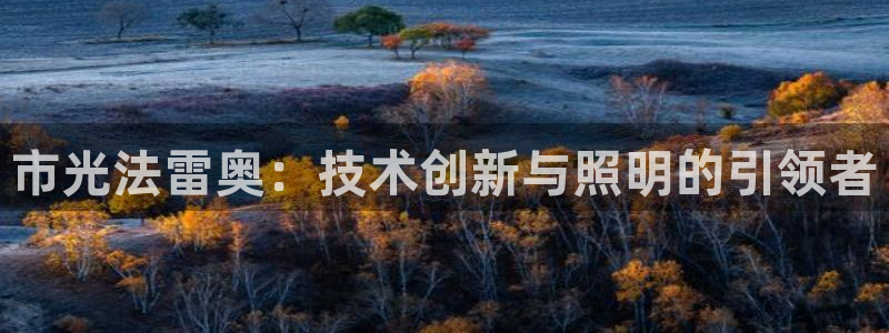 市光法雷奥：技术创新与照明的引领者