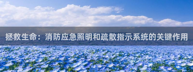 拯救生命：消防应急照明和疏散指示系统的关键作用