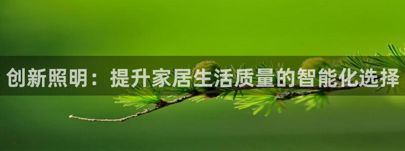 创新照明：提升家居生活质量的智能化选择