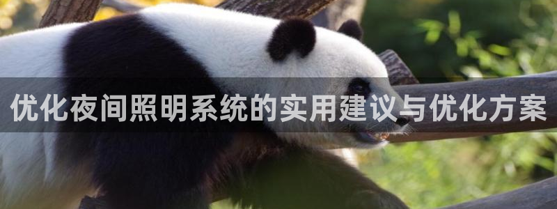 优化夜间照明系统的实用建议与优化方案