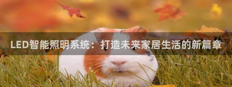 LED智能照明系统：打造未来家居生活的新篇章