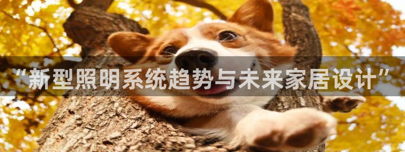 “新型照明系统趋势与未来家居设计”