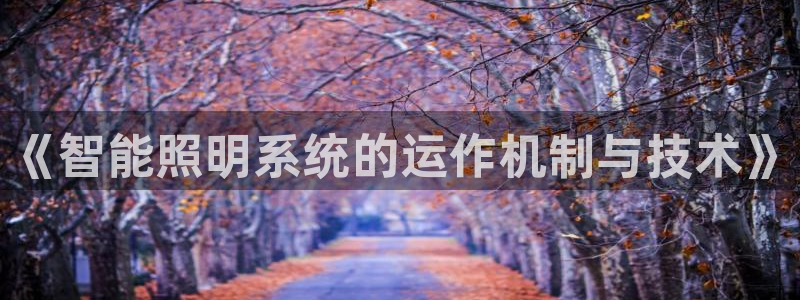 《智能照明系统的运作机制与技术》