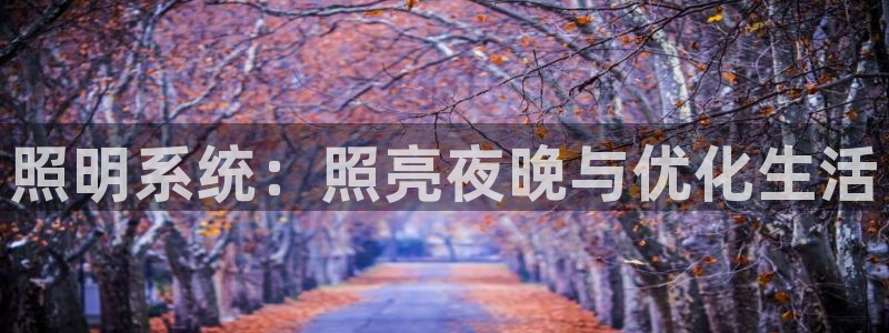 照明系统：照亮夜晚与优化生活