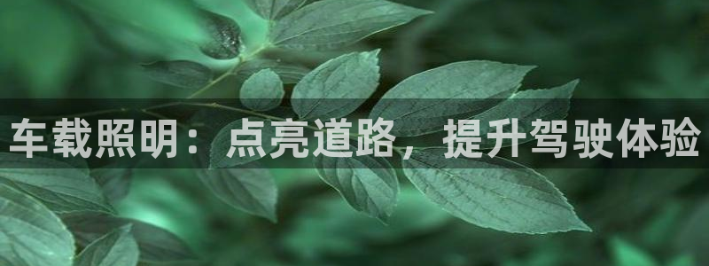 车载照明：点亮道路，提升驾驶体验