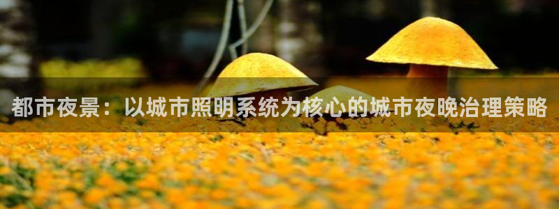 都市夜景：以城市照明系统为核心的城市夜晚治理策略