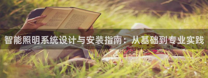 智能照明系统设计与安装指南：从基础到专业实践