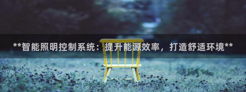 **智能照明控制系统：提升能源效率，打造舒适环境**