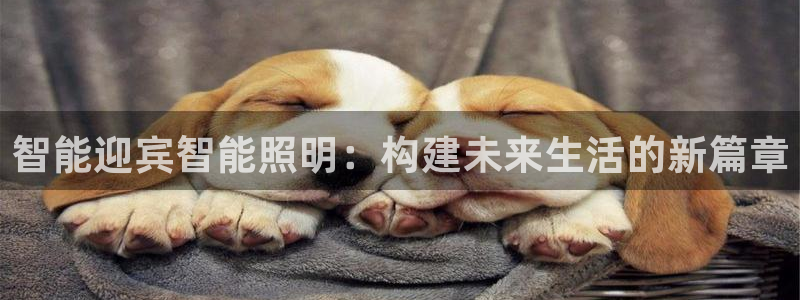 智能迎宾智能照明：构建未来生活的新篇章