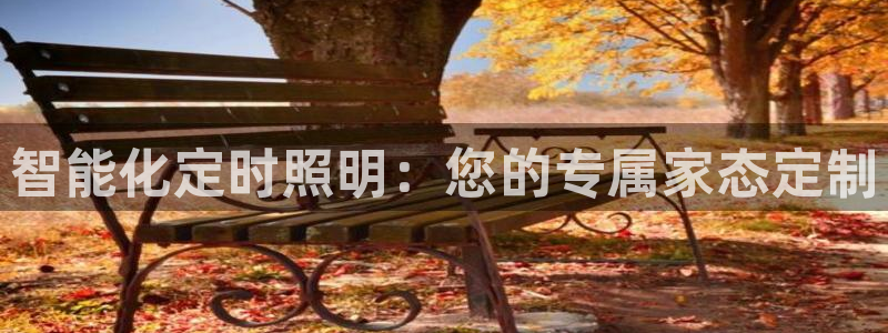 智能化定时照明：您的专属家态定制