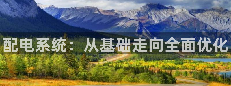 配电系统：从基础走向全面优化