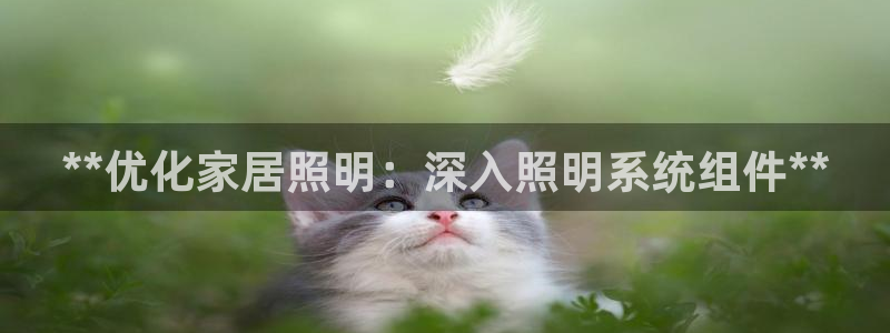 **优化家居照明：深入照明系统组件**