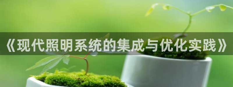 《现代照明系统的集成与优化实践》