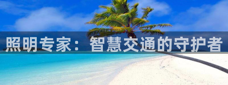 照明专家：智慧交通的守护者