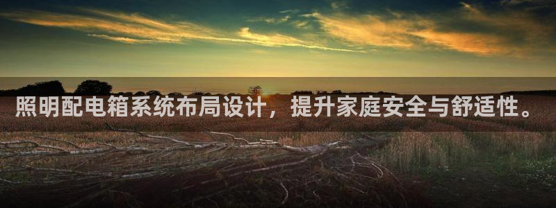 照明配电箱系统布局设计，提升家庭安全与舒适性。