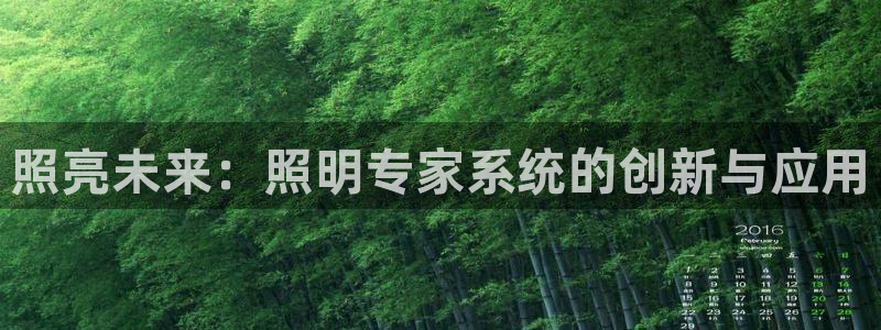 照亮未来：照明专家系统的创新与应用