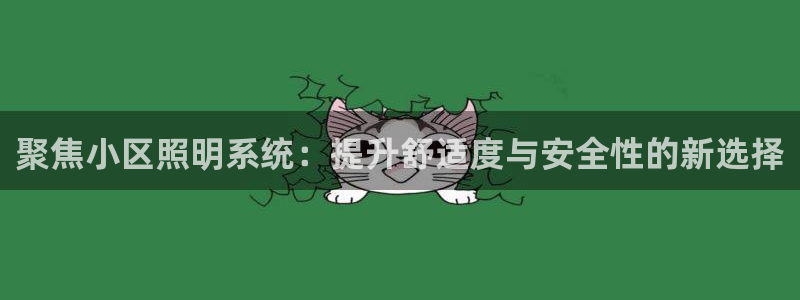 聚焦小区照明系统：提升舒适度与安全性的新选择