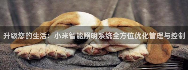 升级您的生活：小米智能照明系统全方位优化管理与控制