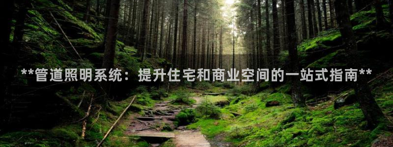 **管道照明系统：提升住宅和商业空间的一站式指南**