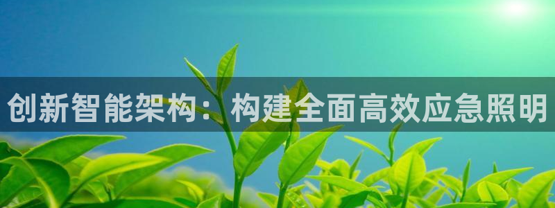 创新智能架构：构建全面高效应急照明