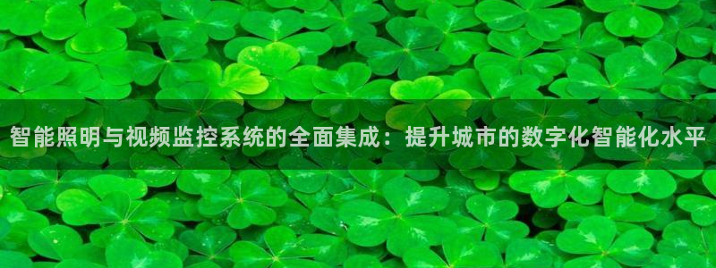 智能照明与视频监控系统的全面集成：提升城市的数字化智能化水平