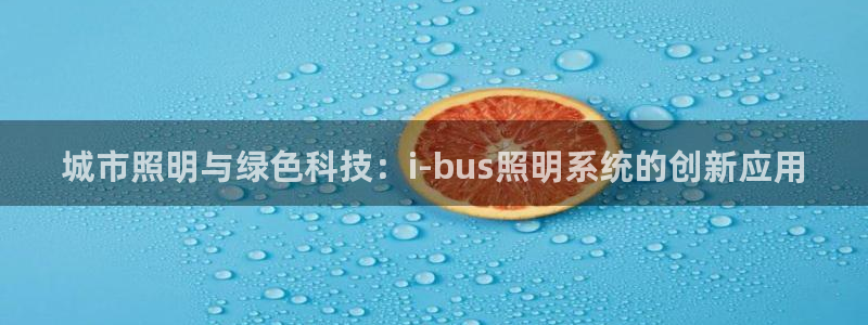 城市照明与绿色科技：i-bus照明系统的创新应用
