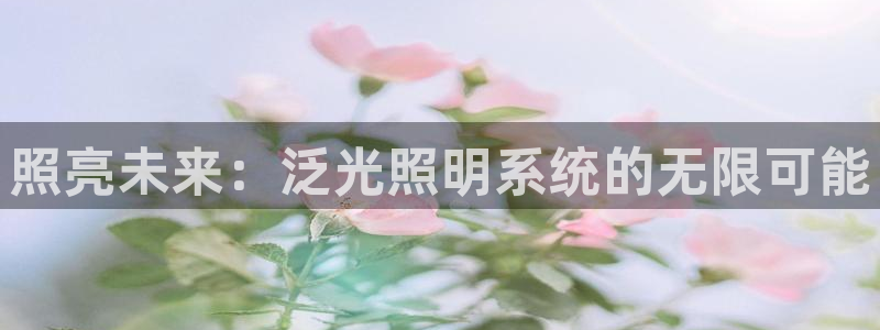 照亮未来：泛光照明系统的无限可能