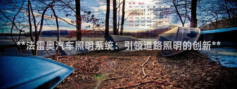 **法雷奥汽车照明系统：引领道路照明的创新**