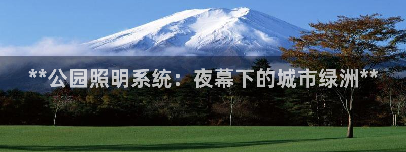 **公园照明系统：夜幕下的城市绿洲**