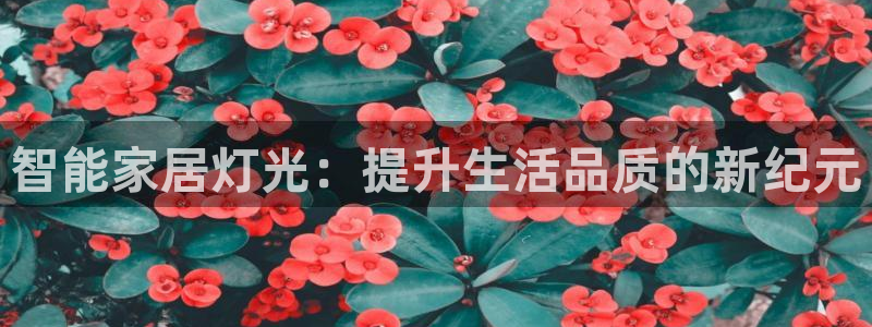 智能家居灯光：提升生活品质的新纪元