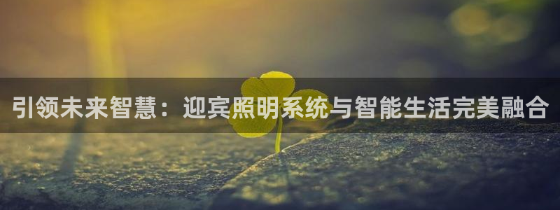 引领未来智慧：迎宾照明系统与智能生活完美融合