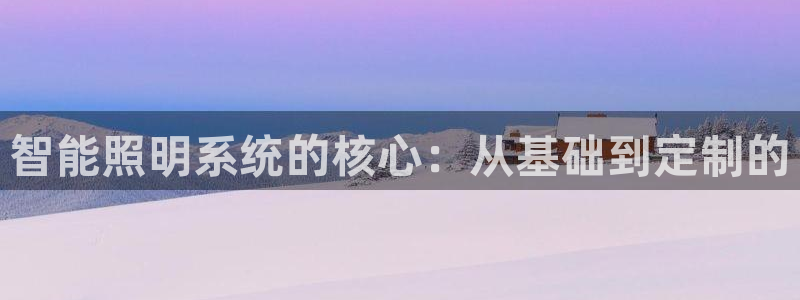 智能照明系统的核心:从基础到定制的