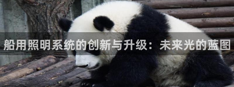 船用照明系统的创新与升级:未来光的蓝图