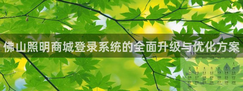 佛山照明商城登录系统的全面升级与优化方案